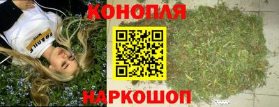 ешки Будённовск