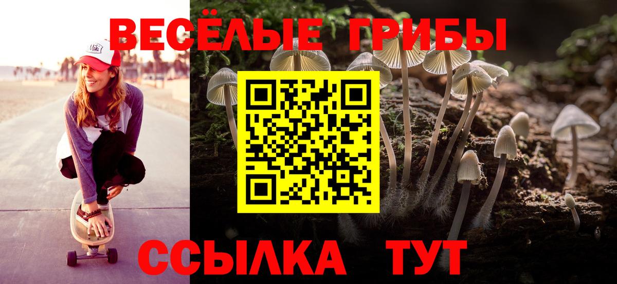 Шелехов  Псилоцибиновые грибы ЛСД  Вход с VPN  Псилоцибиновые грибы Psilocybe 